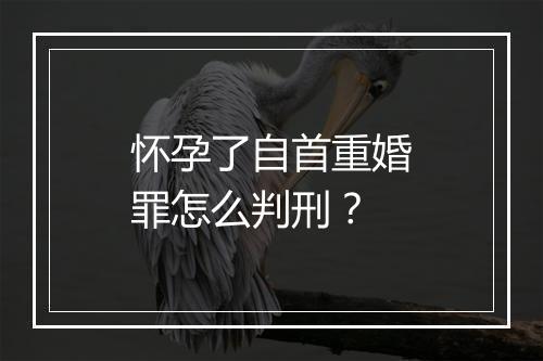 怀孕了自首重婚罪怎么判刑？