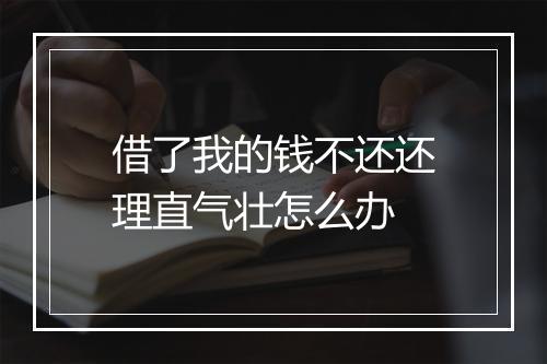 借了我的钱不还还理直气壮怎么办