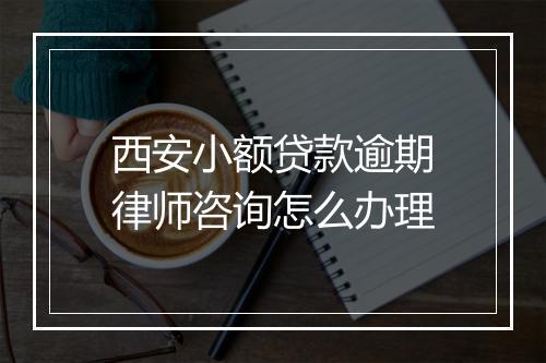 西安小额贷款逾期律师咨询怎么办理