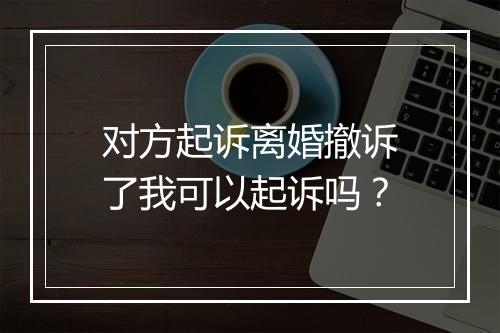 对方起诉离婚撤诉了我可以起诉吗？