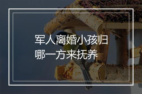 军人离婚小孩归哪一方来抚养