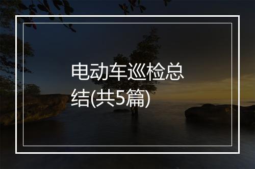 电动车巡检总结(共5篇)