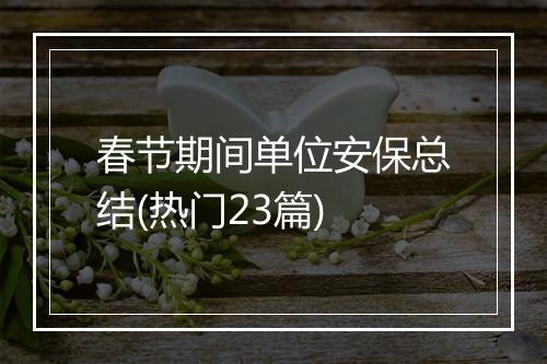 春节期间单位安保总结(热门23篇)