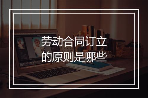 劳动合同订立的原则是哪些