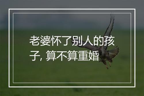 老婆怀了别人的孩子, 算不算重婚