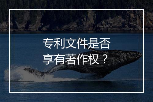 专利文件是否享有著作权？