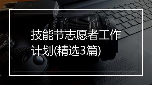 技能节志愿者工作计划(精选3篇)