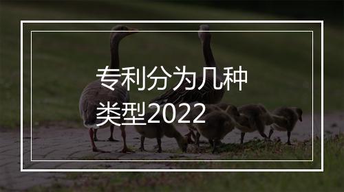 专利分为几种类型2022