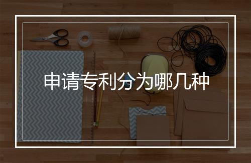 申请专利分为哪几种