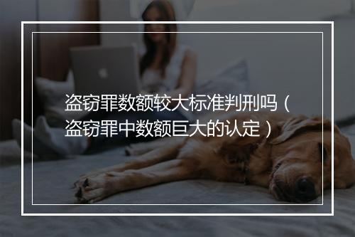 盗窃罪数额较大标准判刑吗（盗窃罪中数额巨大的认定）