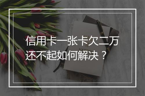 信用卡一张卡欠二万还不起如何解决？