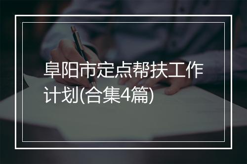阜阳市定点帮扶工作计划(合集4篇)
