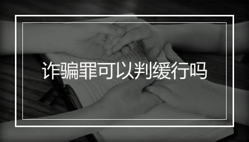 诈骗罪可以判缓行吗