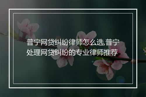 普宁网贷纠纷律师怎么选,普宁处理网贷纠纷的专业律师推荐