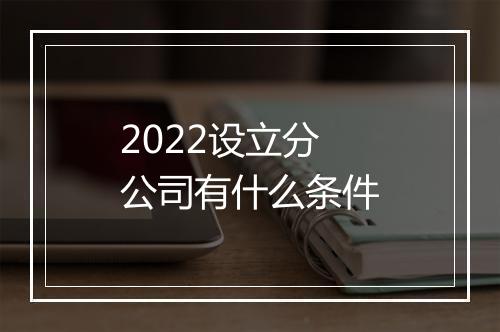 2022设立分公司有什么条件