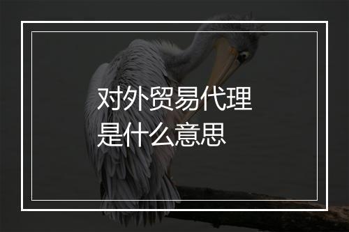 对外贸易代理是什么意思