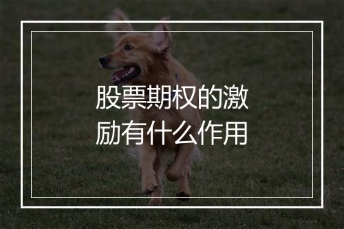 股票期权的激励有什么作用