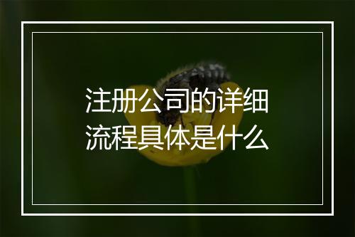 注册公司的详细流程具体是什么