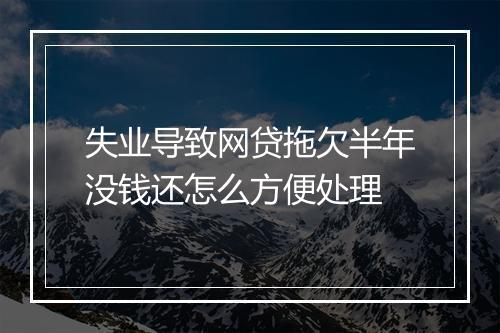 失业导致网贷拖欠半年没钱还怎么方便处理