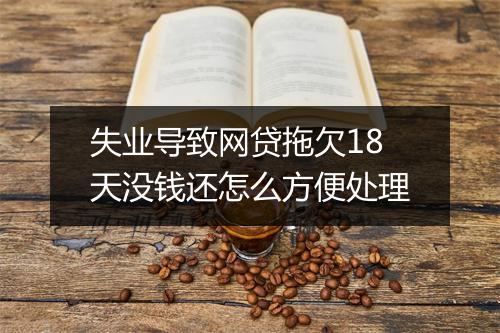 失业导致网贷拖欠18天没钱还怎么方便处理