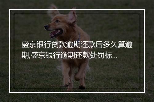 盛京银行贷款逾期还款后多久算逾期,盛京银行逾期还款处罚标准