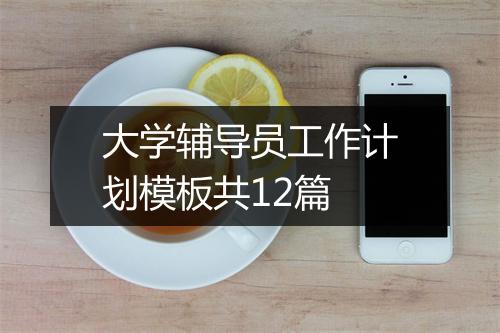 大学辅导员工作计划模板共12篇