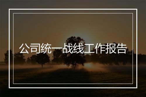 公司统一战线工作报告
