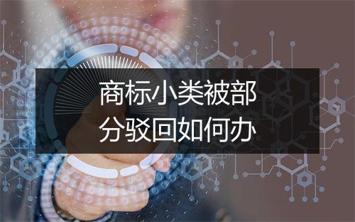 商标小类被部分驳回如何办