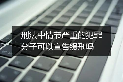 刑法中情节严重的犯罪分子可以宣告缓刑吗