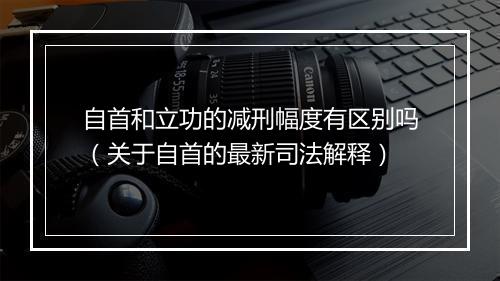 自首和立功的减刑幅度有区别吗（关于自首的最新司法解释）
