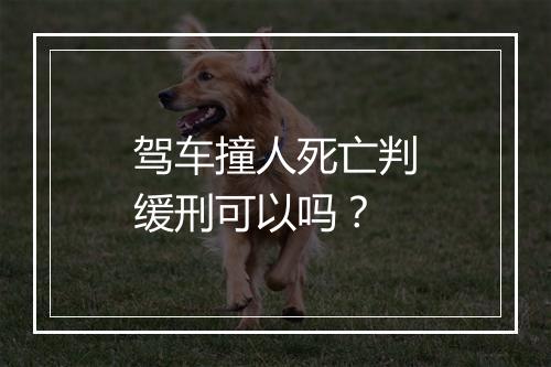 驾车撞人死亡判缓刑可以吗？
