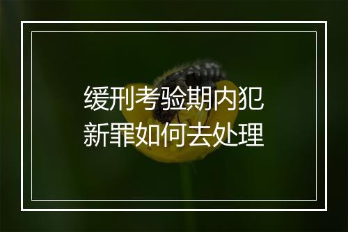 缓刑考验期内犯新罪如何去处理