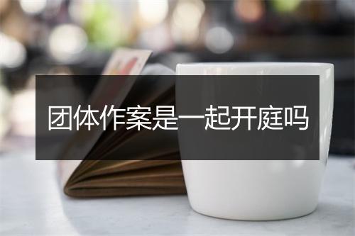 团体作案是一起开庭吗