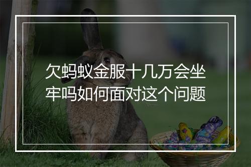 欠蚂蚁金服十几万会坐牢吗如何面对这个问题