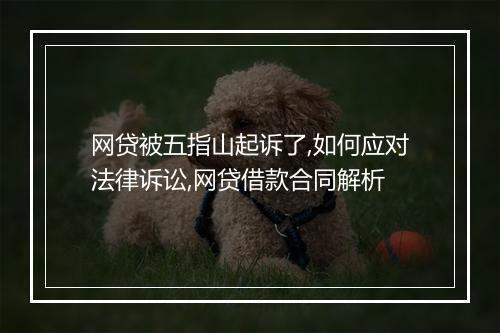 网贷被五指山起诉了,如何应对法律诉讼,网贷借款合同解析