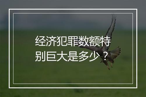经济犯罪数额特别巨大是多少？
