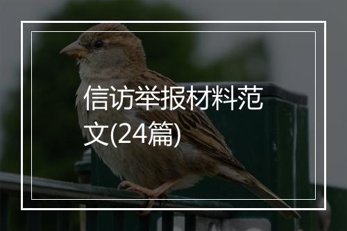 信访举报材料范文(24篇)