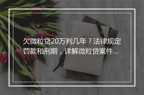 欠微粒贷20万判几年？法律规定罚款和刑期，详解微粒贷案件处理方式