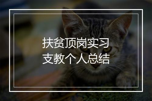 扶贫顶岗实习支教个人总结
