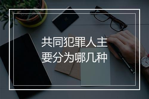 共同犯罪人主要分为哪几种