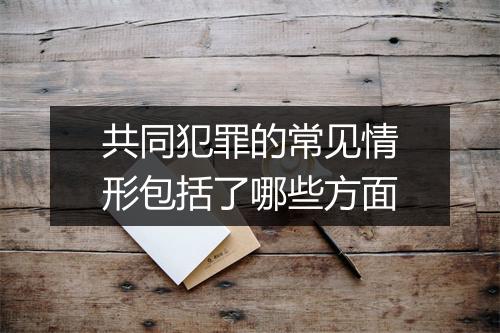 共同犯罪的常见情形包括了哪些方面