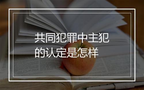 共同犯罪中主犯的认定是怎样