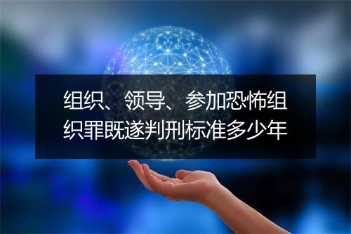 组织、领导、参加恐怖组织罪既遂判刑标准多少年