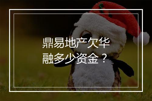 鼎易地产欠华融多少资金？