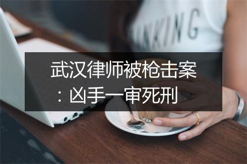 武汉律师被枪击案：凶手一审死刑