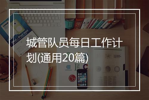 城管队员每日工作计划(通用20篇)