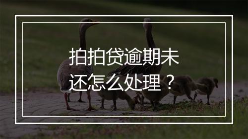拍拍贷逾期未还怎么处理？