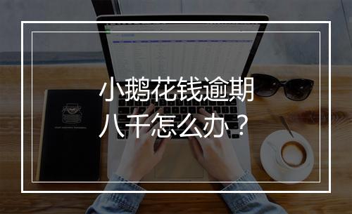 小鹅花钱逾期八千怎么办？