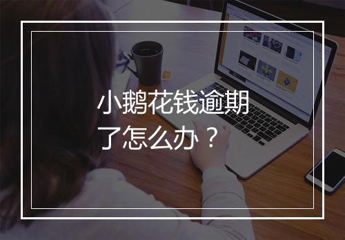 小鹅花钱逾期了怎么办？