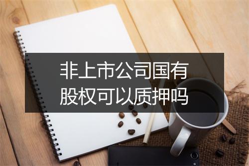 非上市公司国有股权可以质押吗